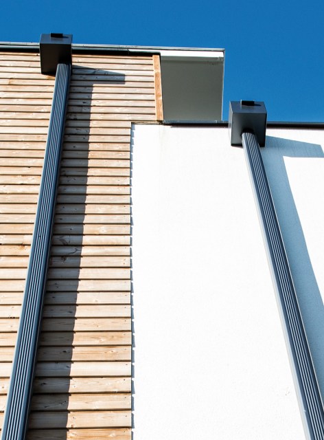 caroline-wartel-directrice artistique-graphiste-freelance-paris-artiste-plasticienne-Dalalu